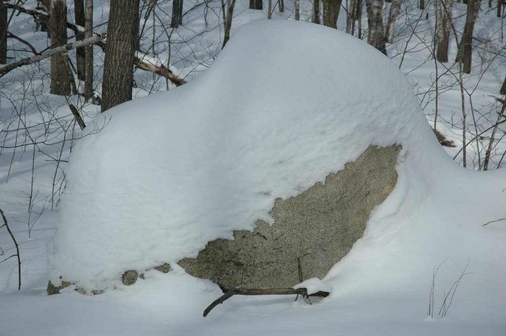 DSC_0040.JPG
