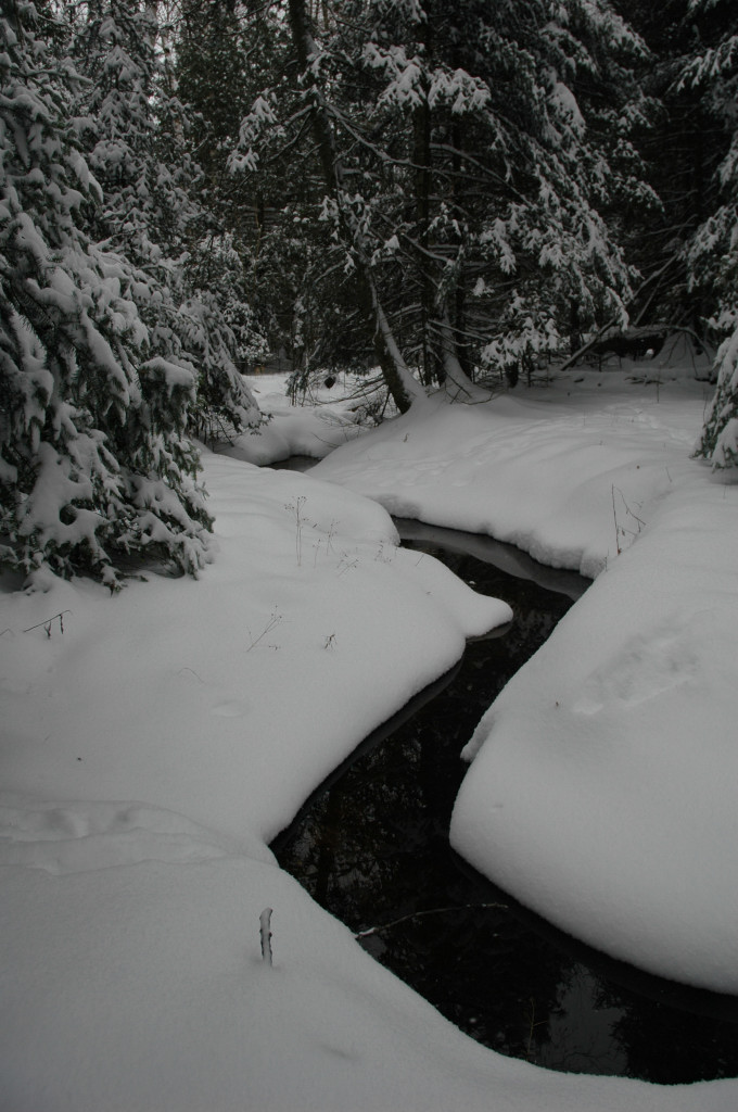 DSC_0079.JPG