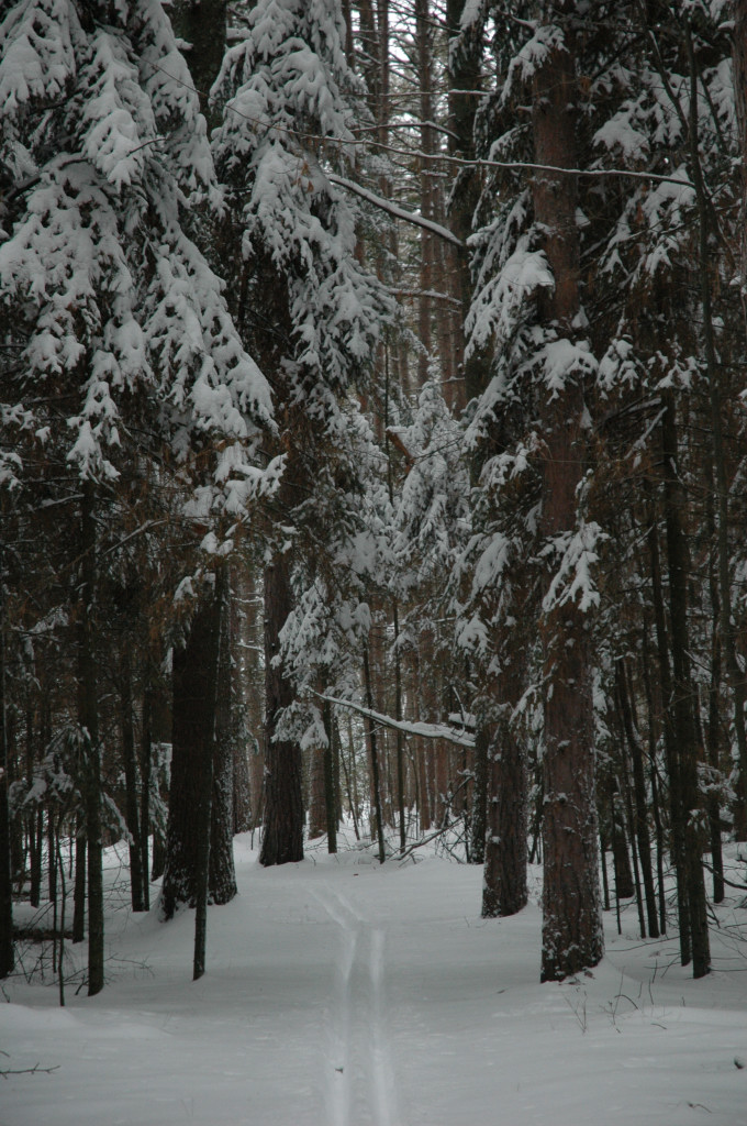DSC_0117.JPG