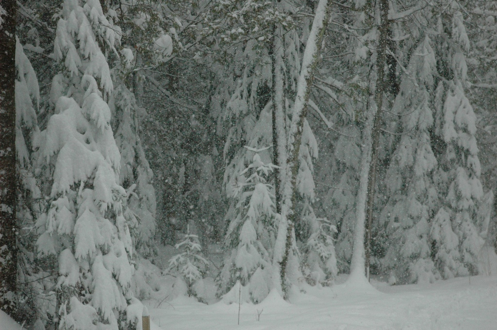20080406_DSC_0026.JPG