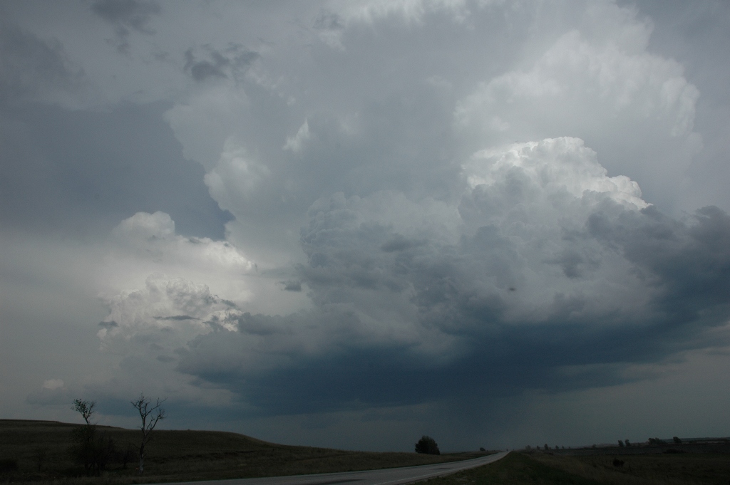 20080501_DSC_0010.JPG