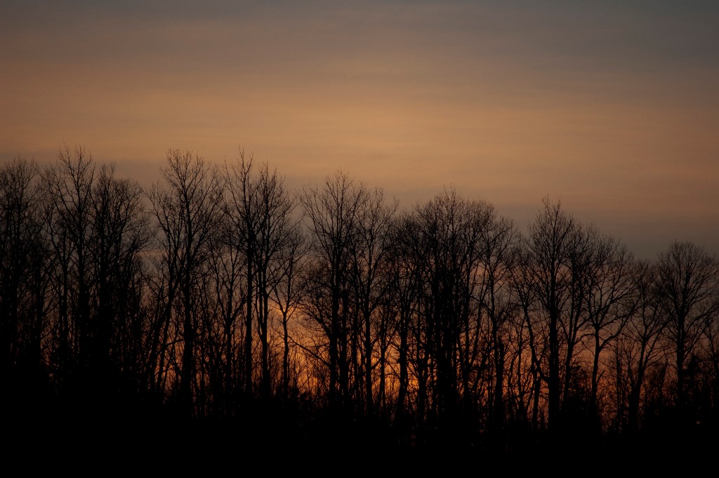 20090208_from_raw_DSC_0067.jpg