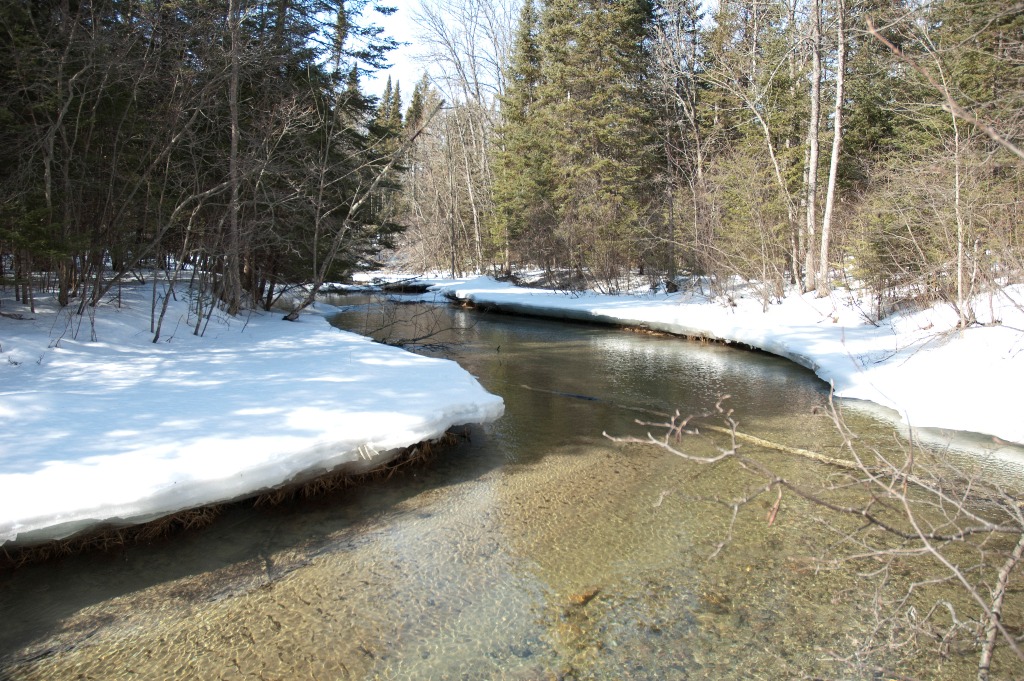 20090315_from_raw_DSC_0042.jpg