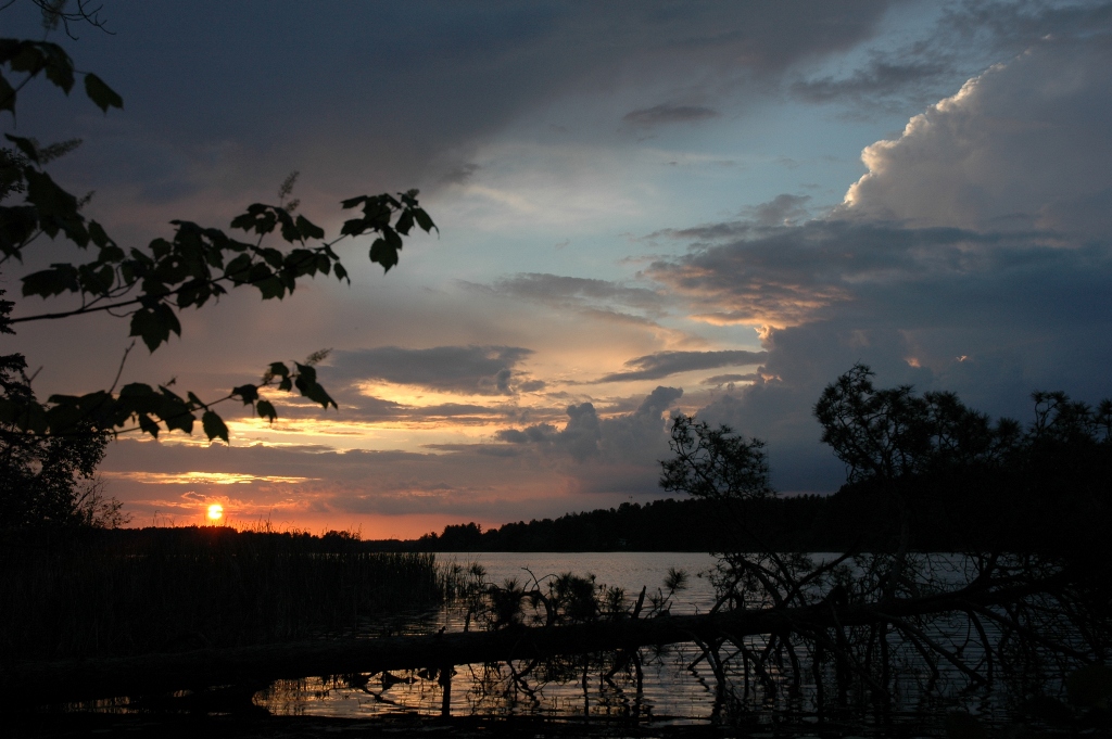 20090620_DSC_0010.JPG