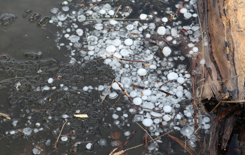 20110410_IMG_1975.JPG