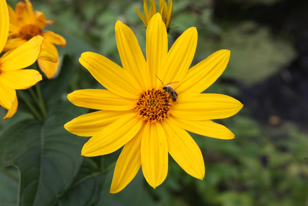 20110904_IMG_8527.JPG