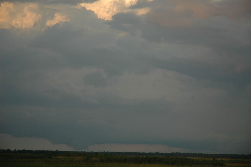 DSC_0135.JPG