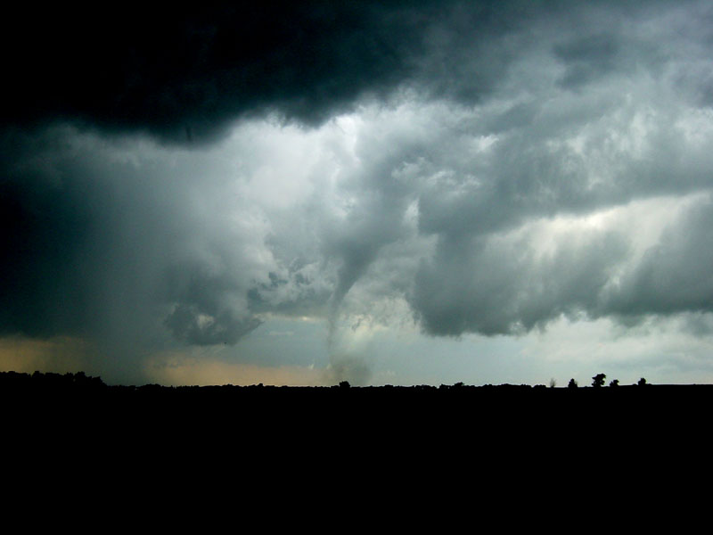 Image09.jpg