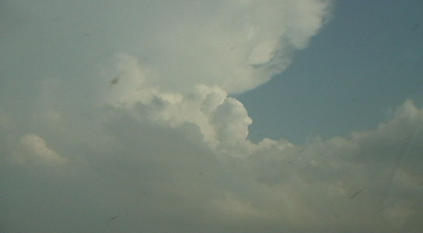 20110510a.jpg