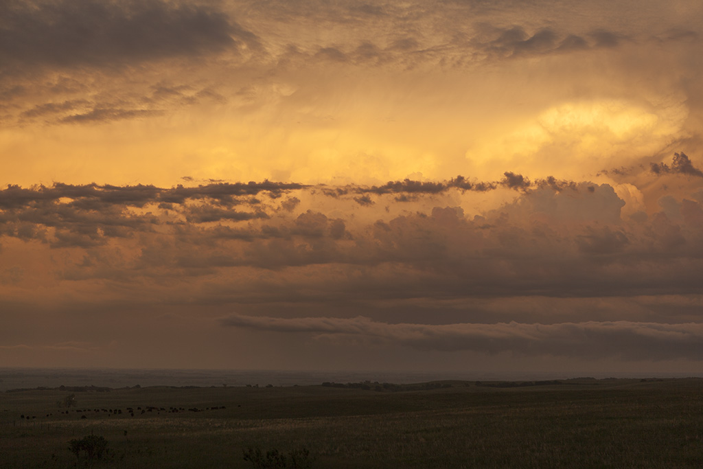 Storm