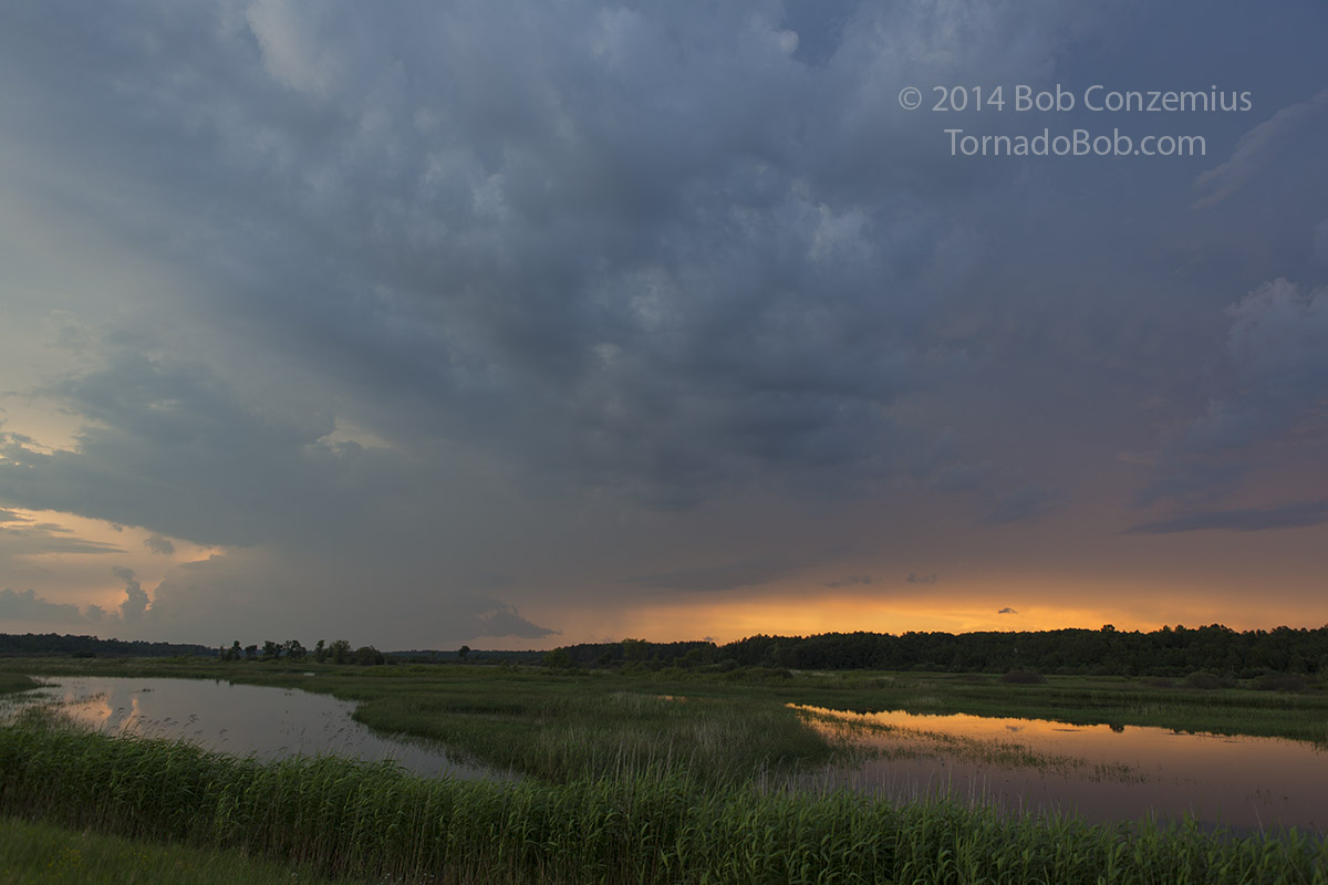 Bena Storm