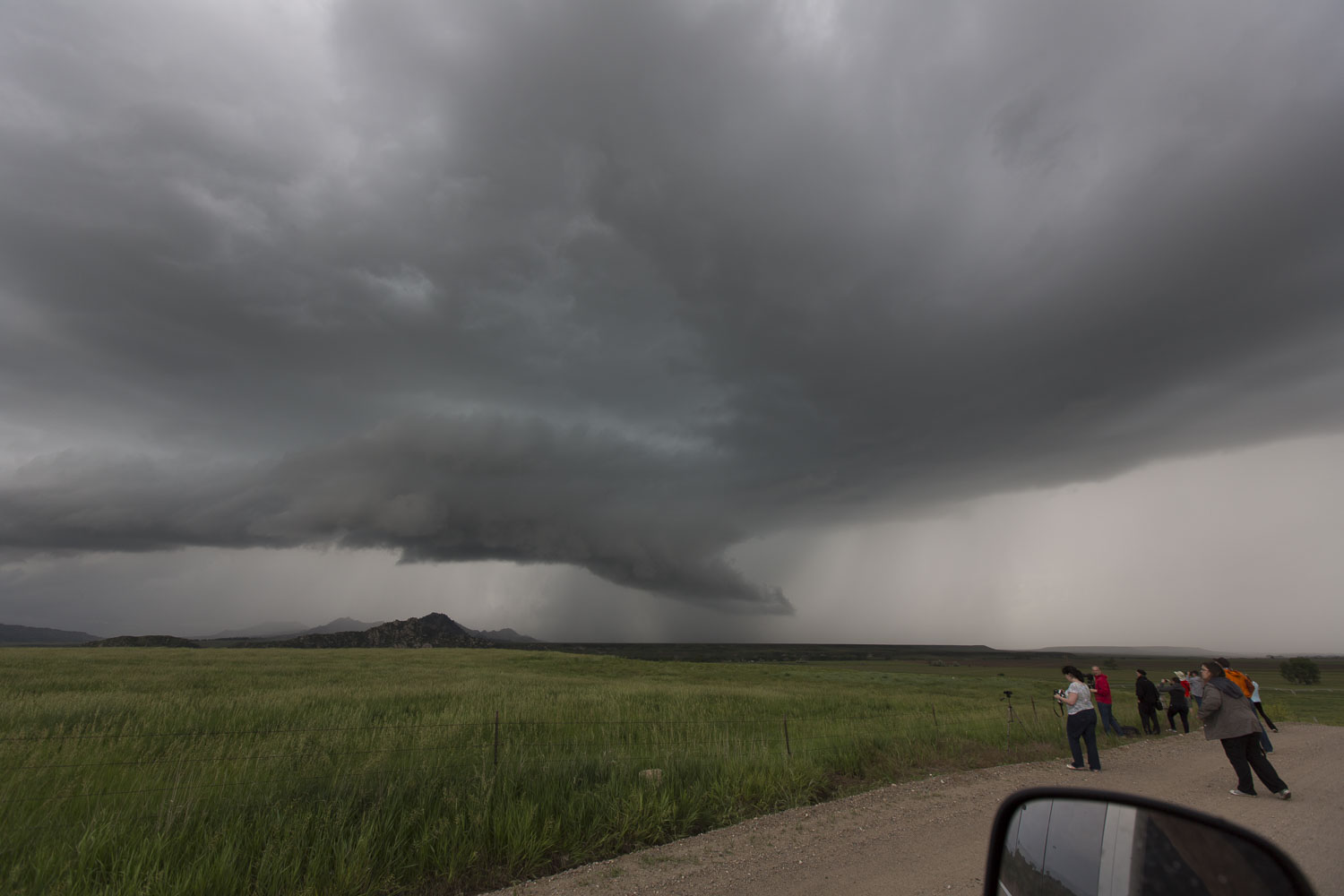 Guests and Storm