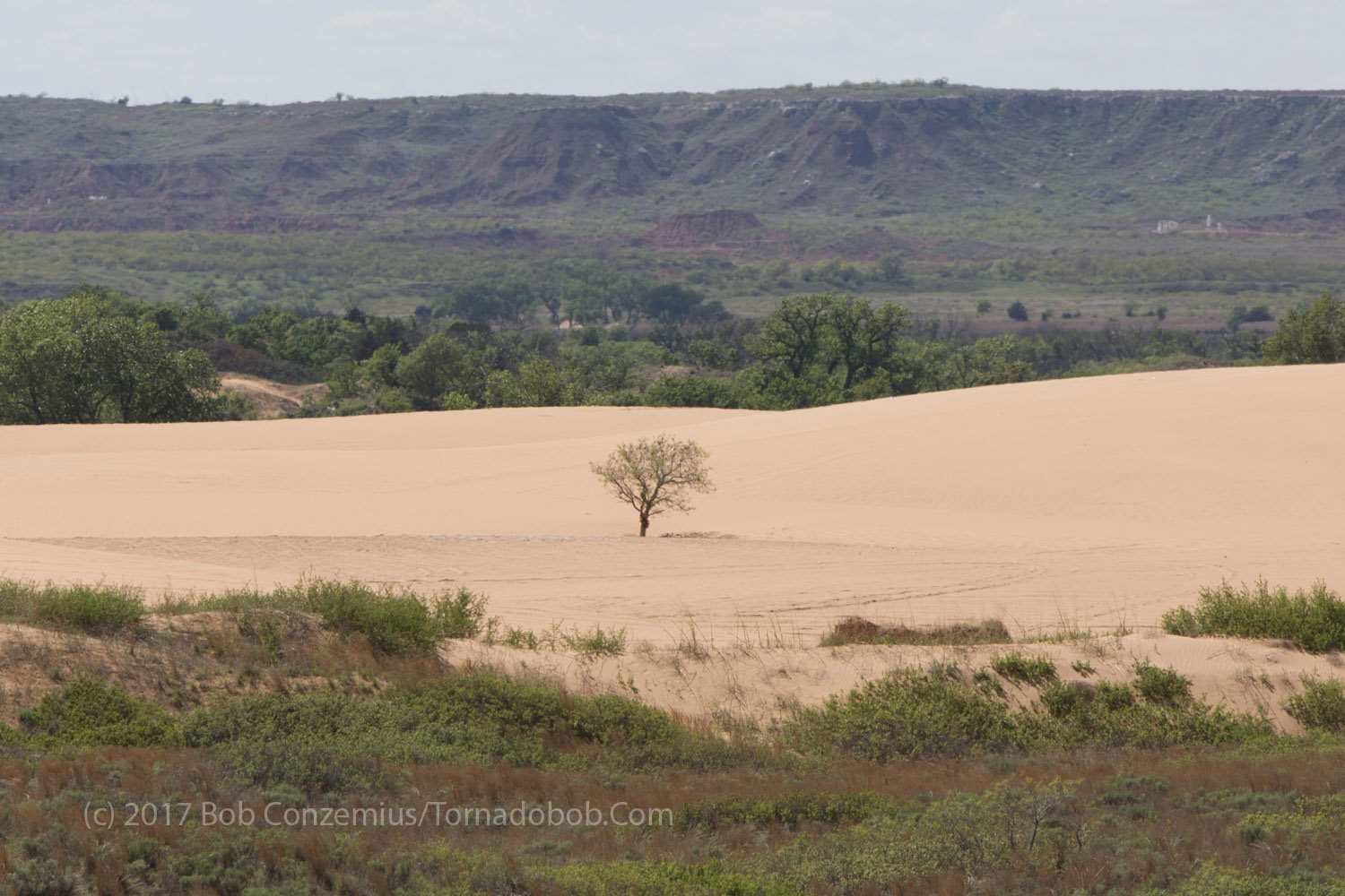 Little Sahara
