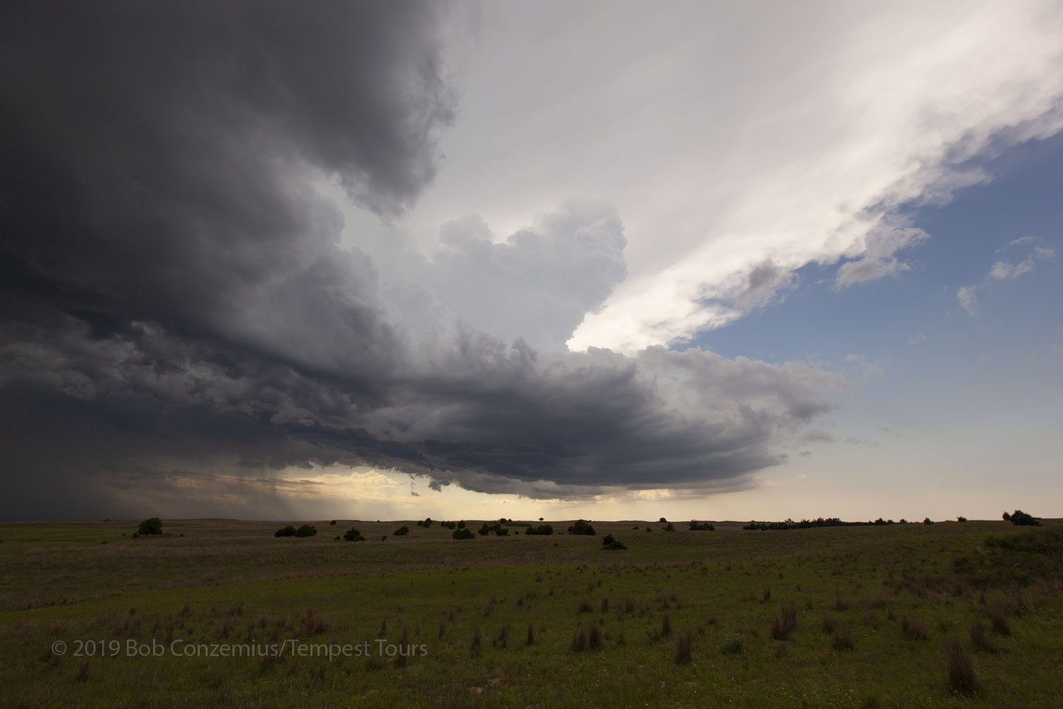 Storm