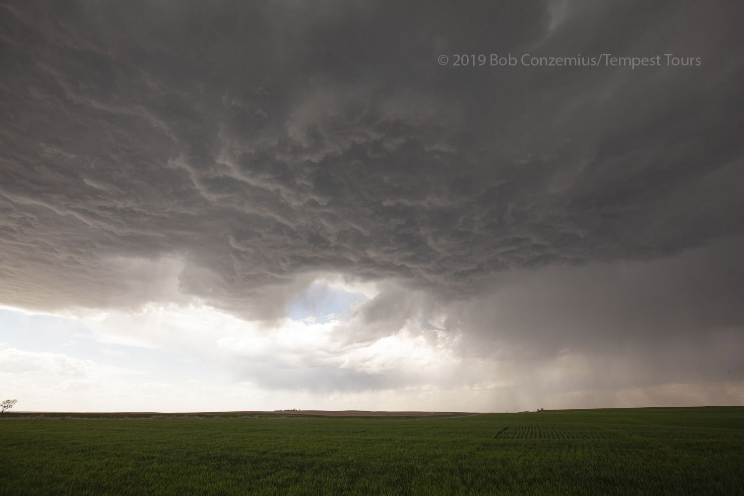 Storm