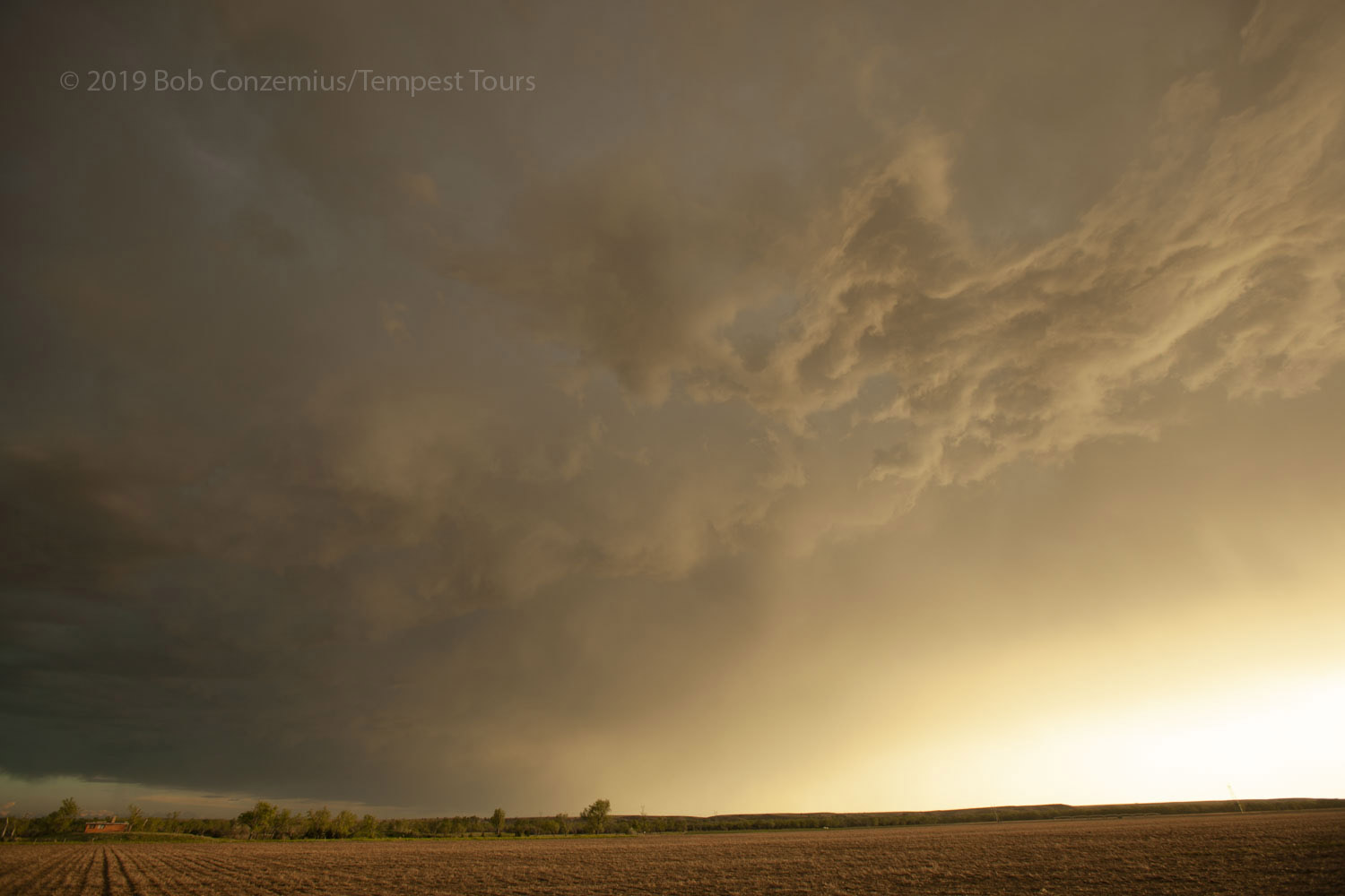 Storm