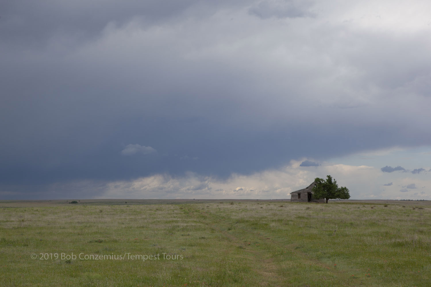 Storm