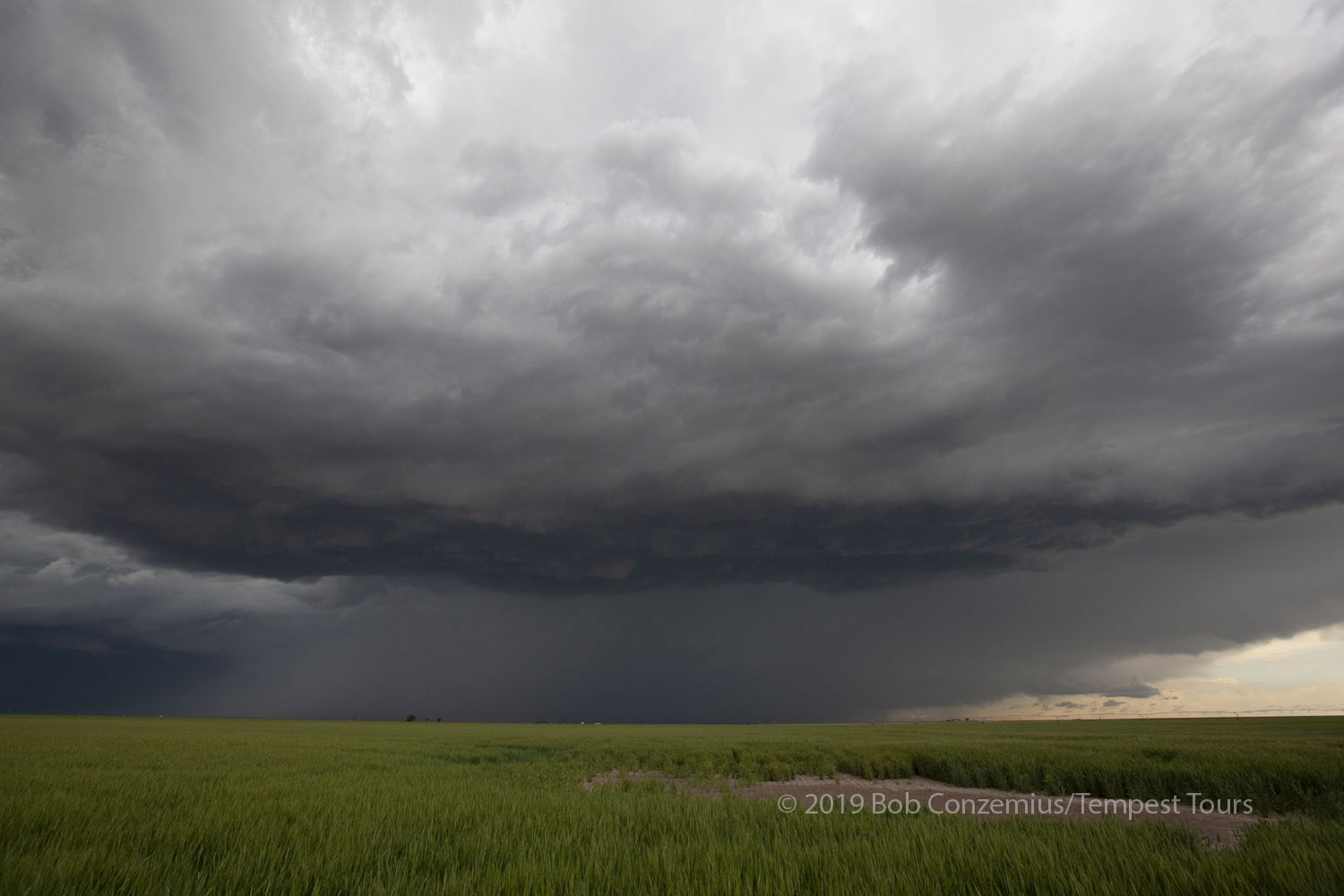 Storm