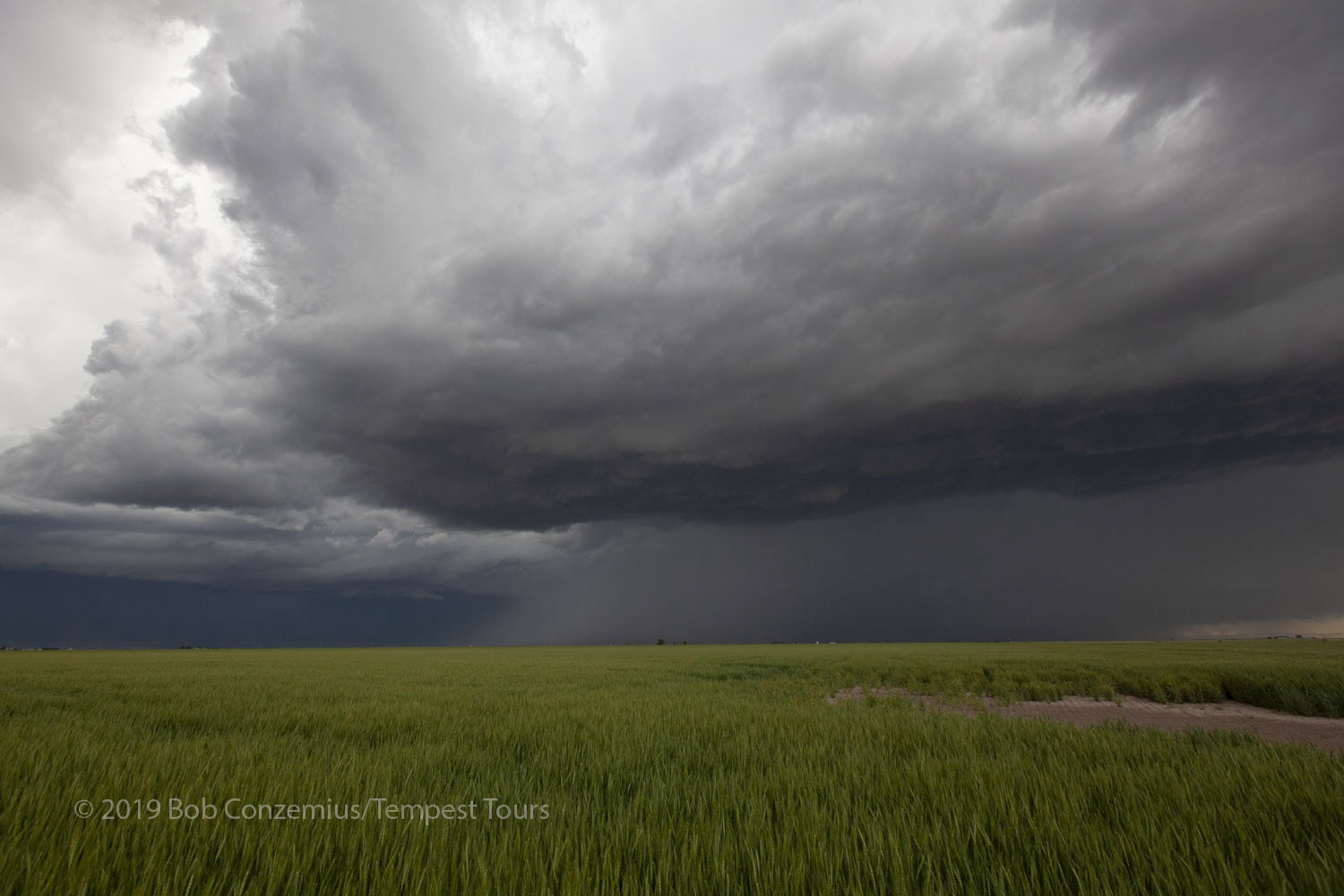 Storm