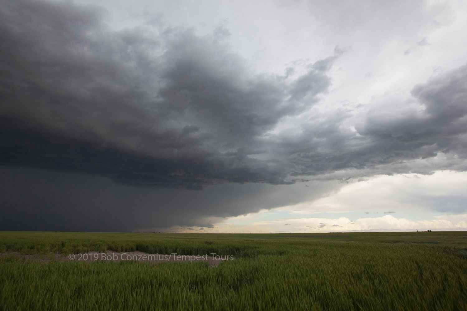 Storm