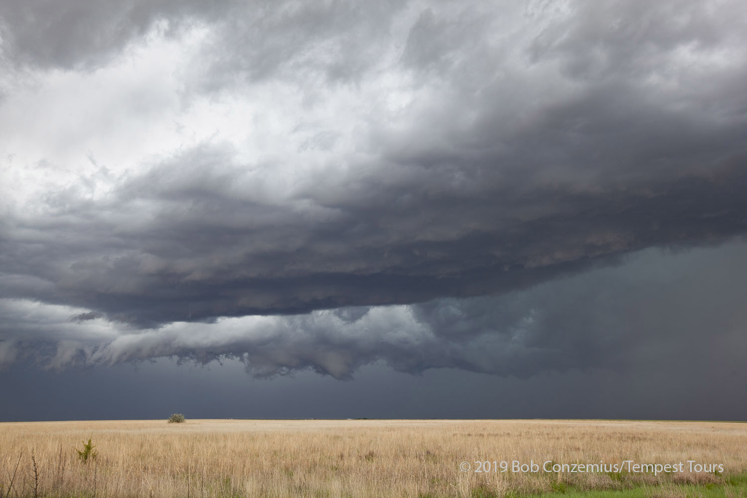 Storm