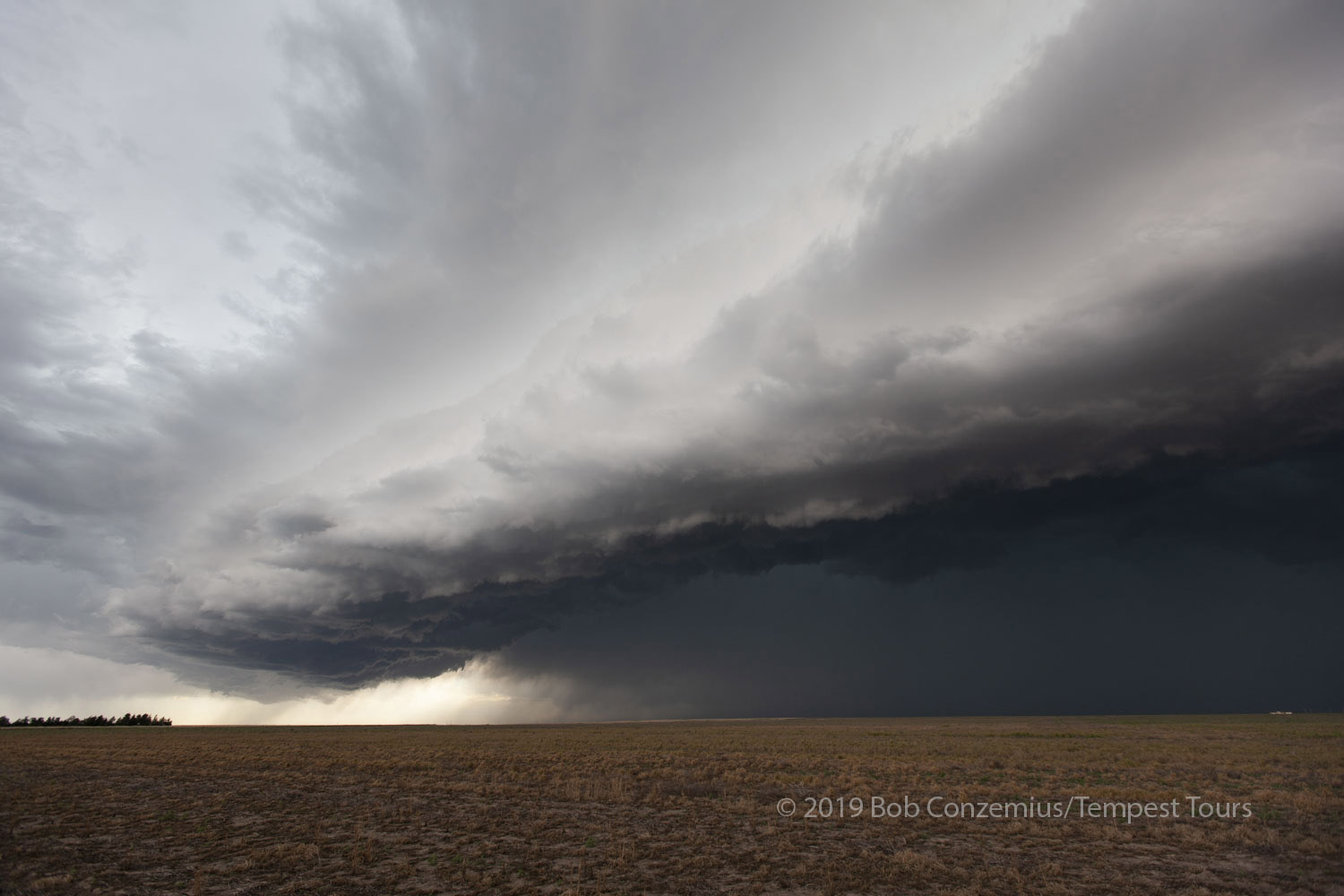 Storm