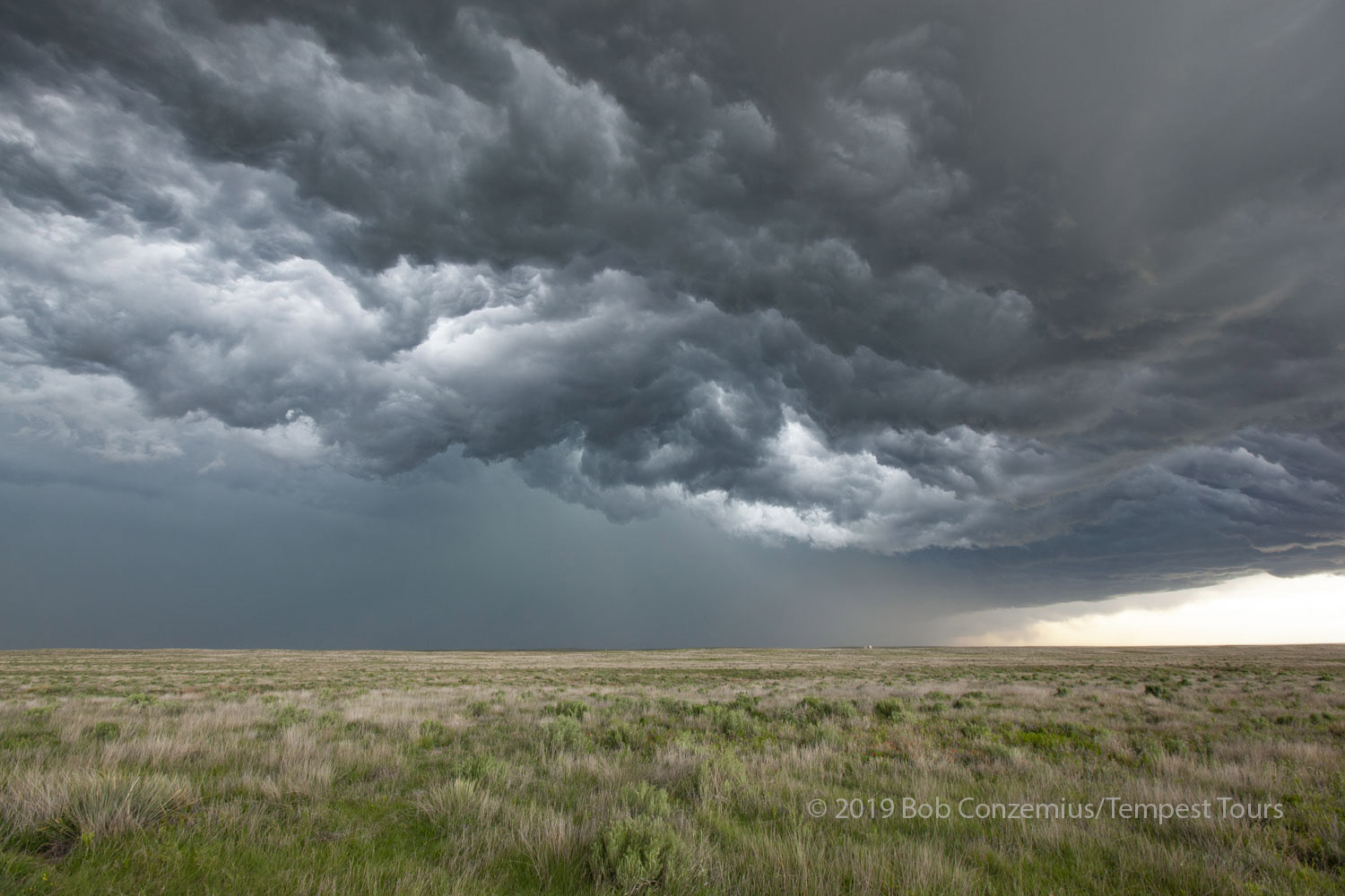 Storm
