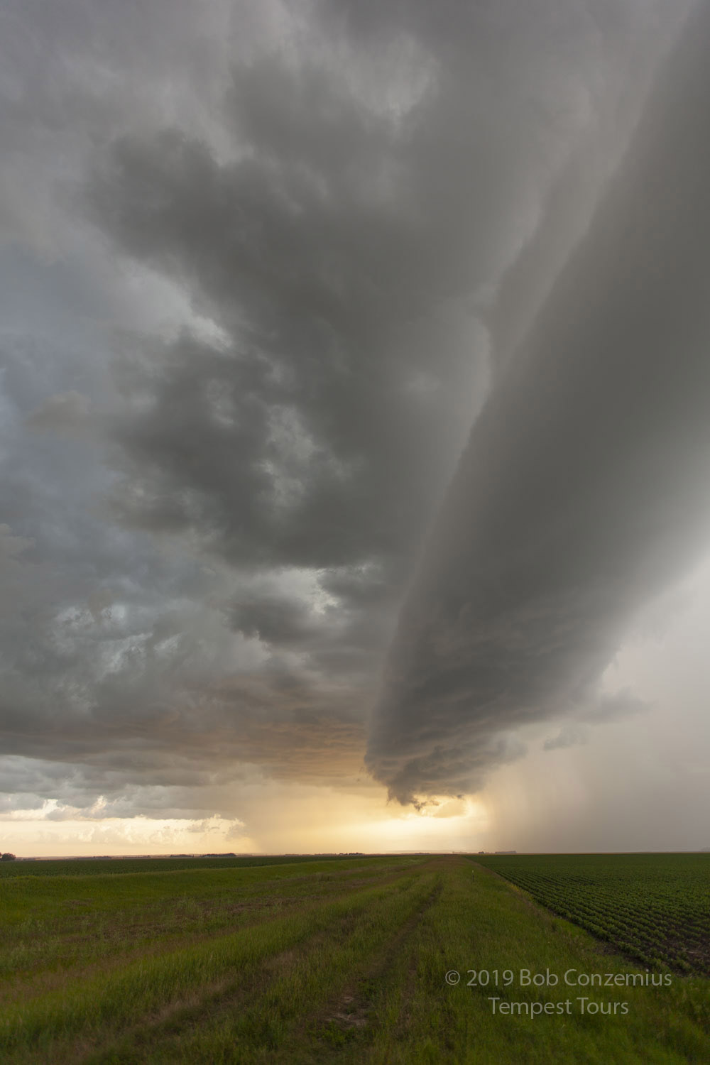 Storm