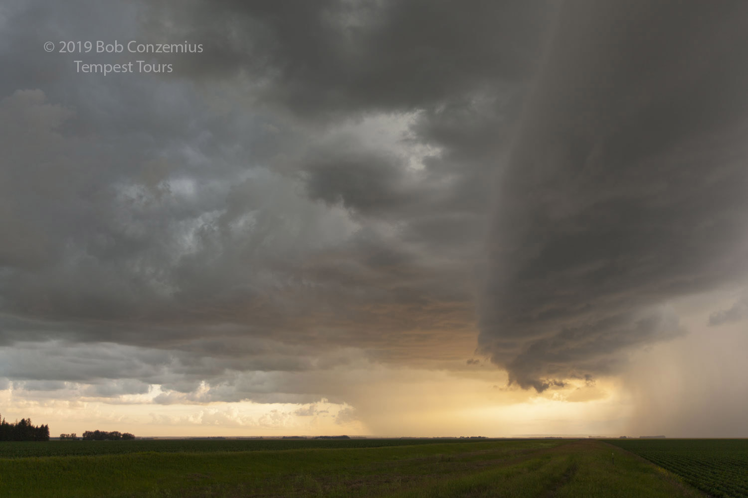Storm