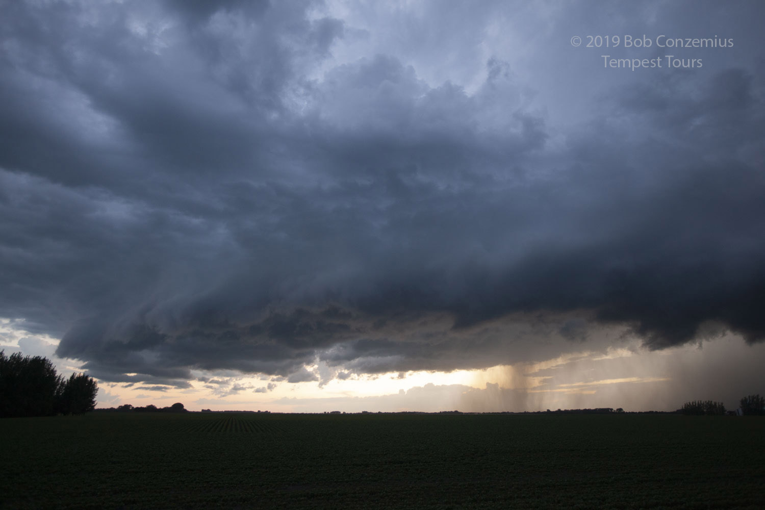 Storm