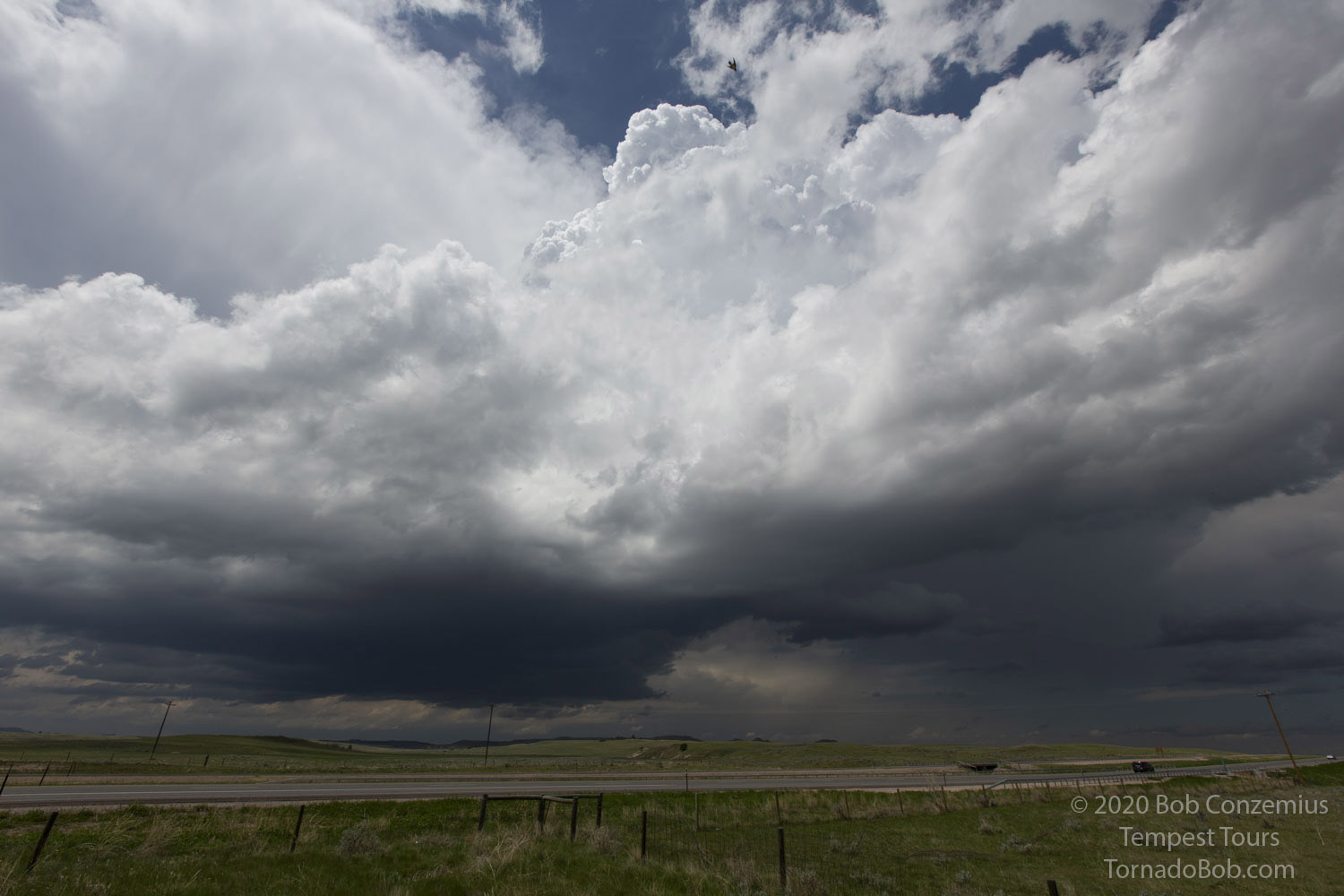 Storm