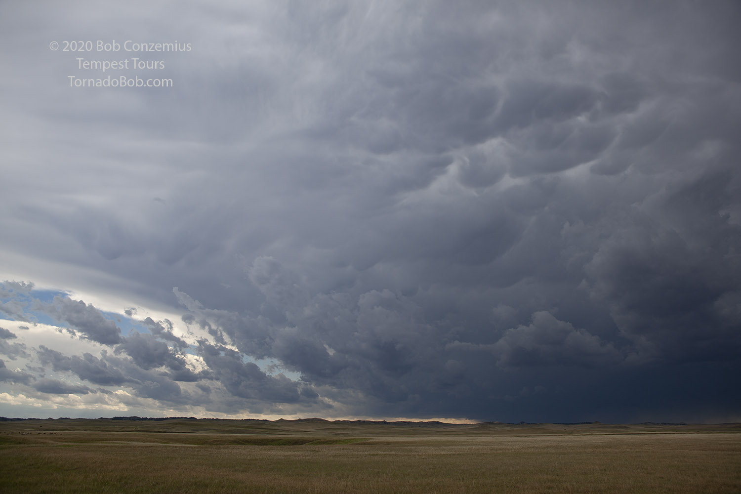 Storm