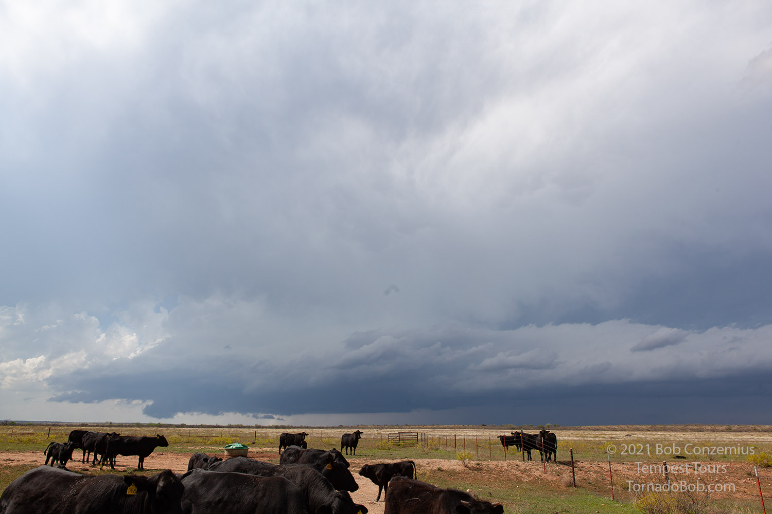 Storm