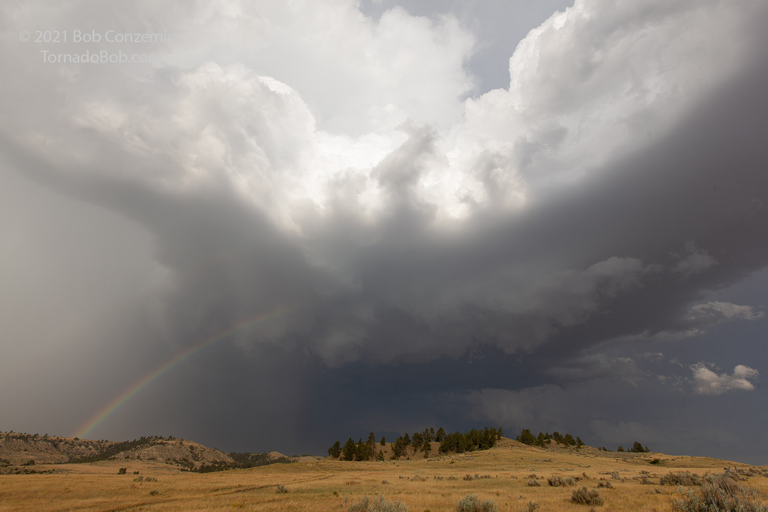 Storm