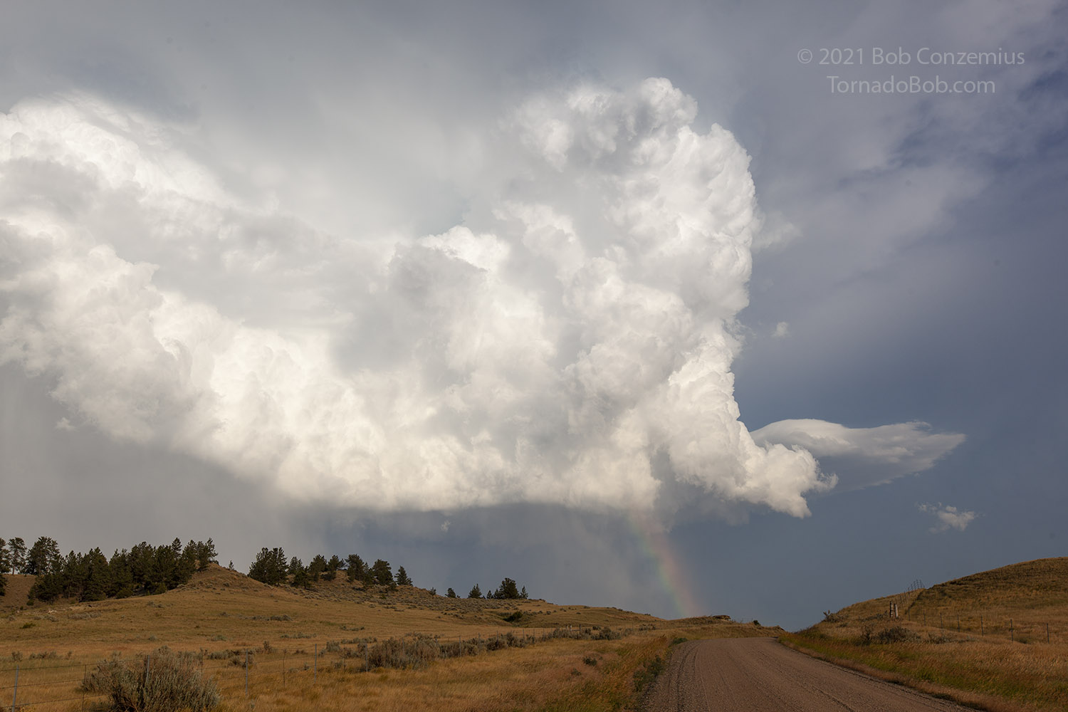 Storm
