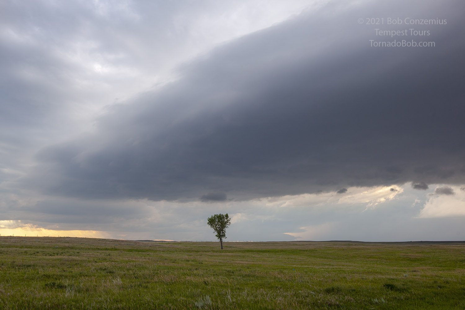Storm