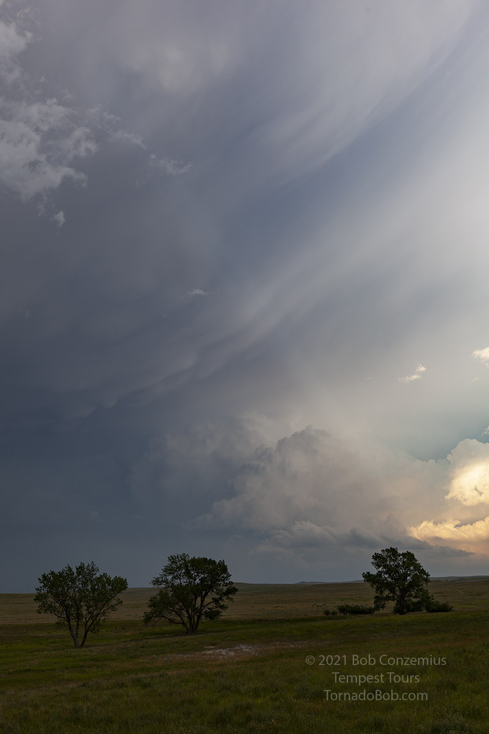 Storm