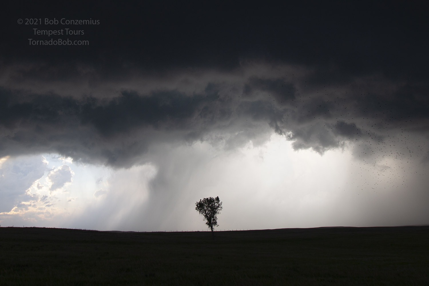 Storm