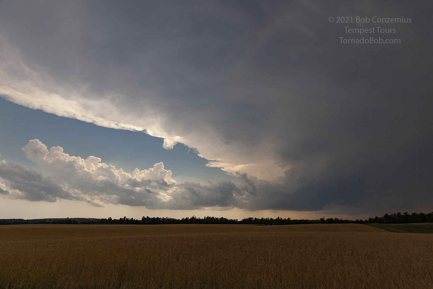 Storm
