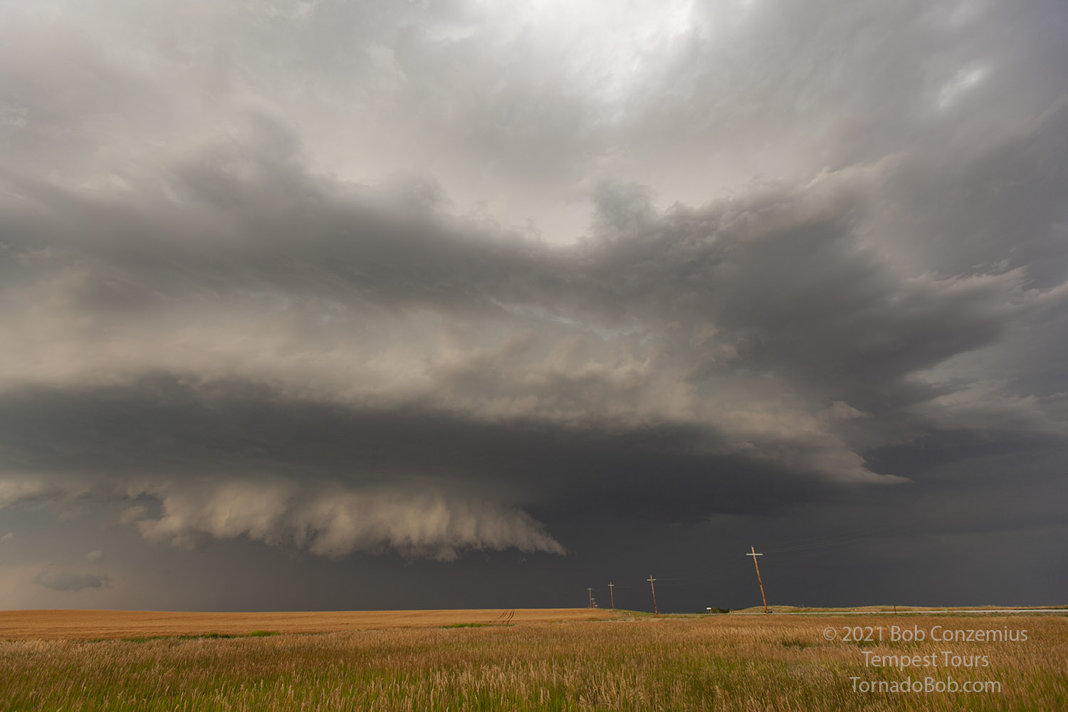 Storm