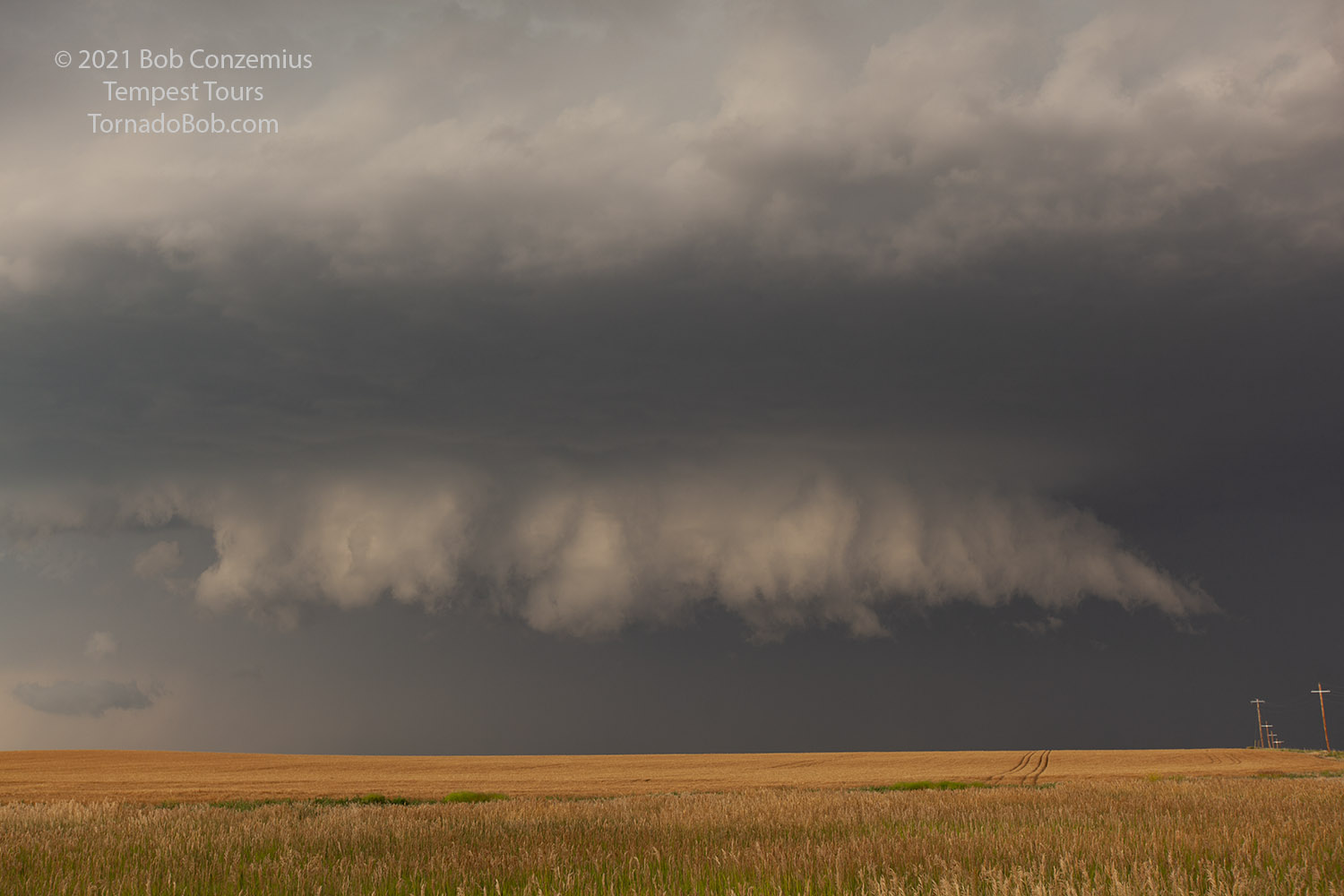 Storm