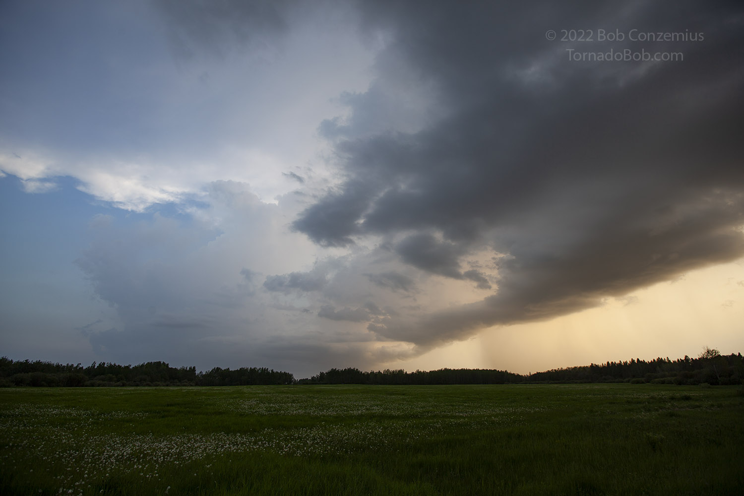 Storm