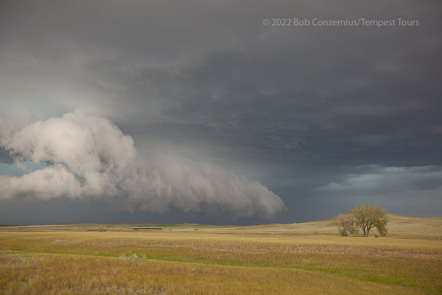 Storm