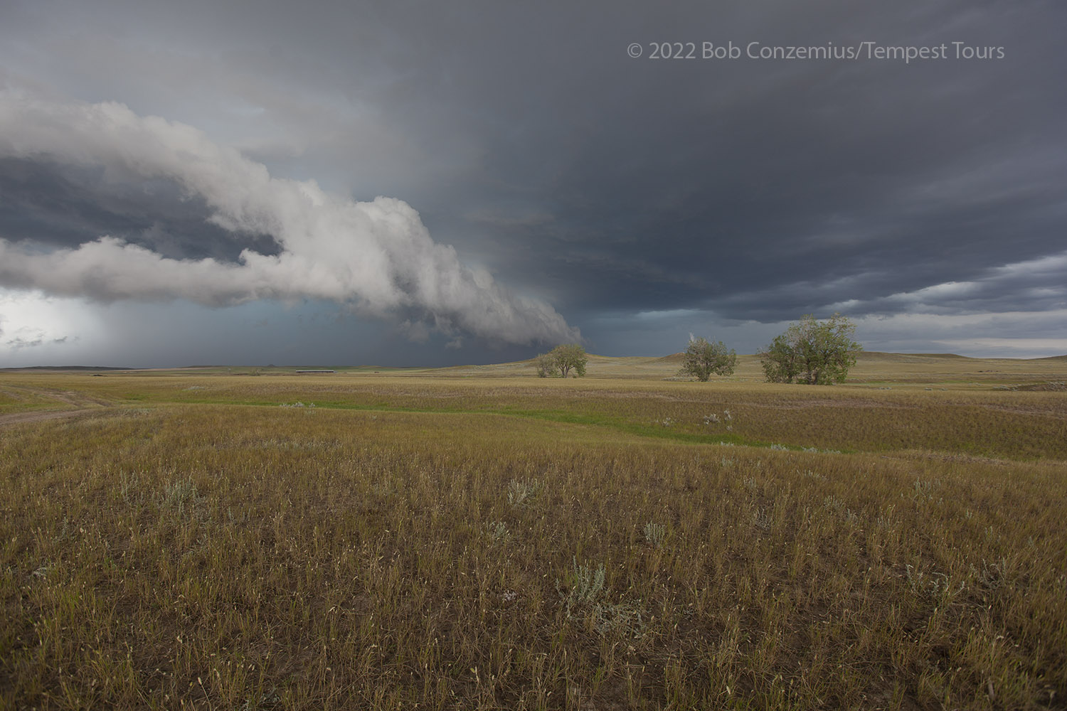 Storm