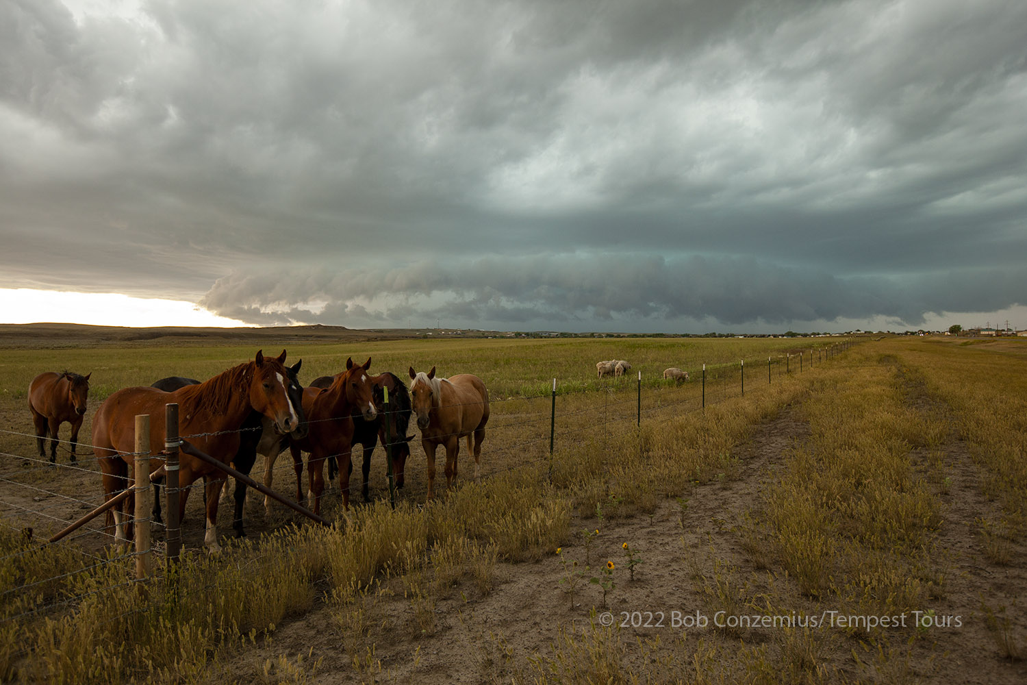 Storm