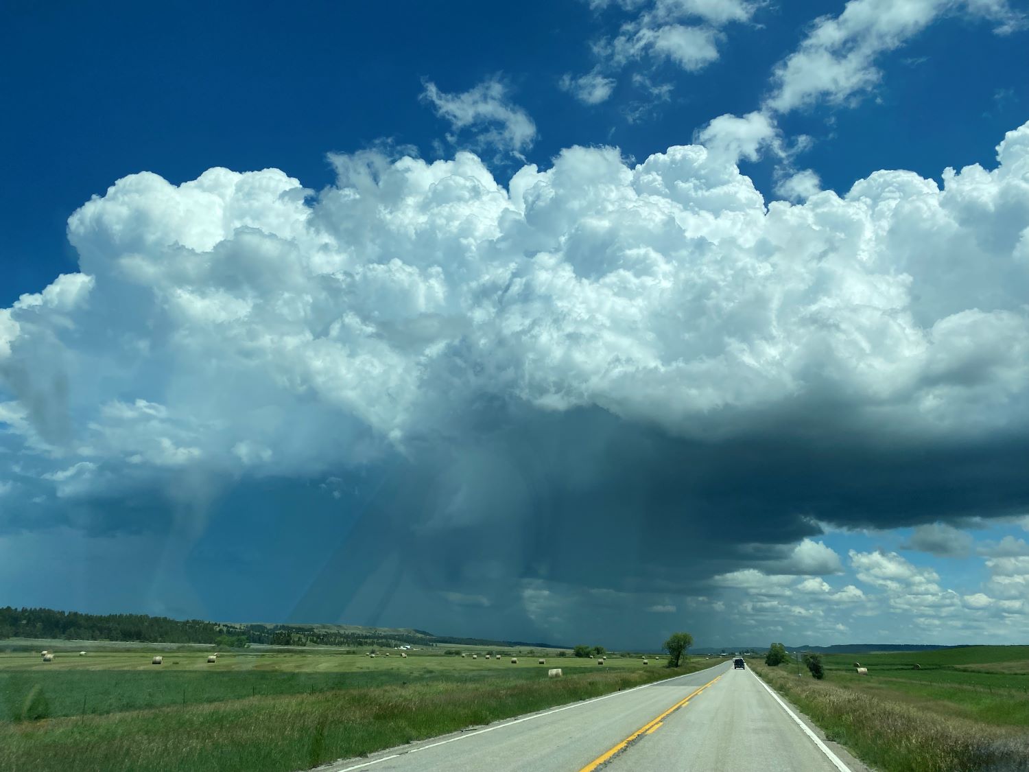 Storm
