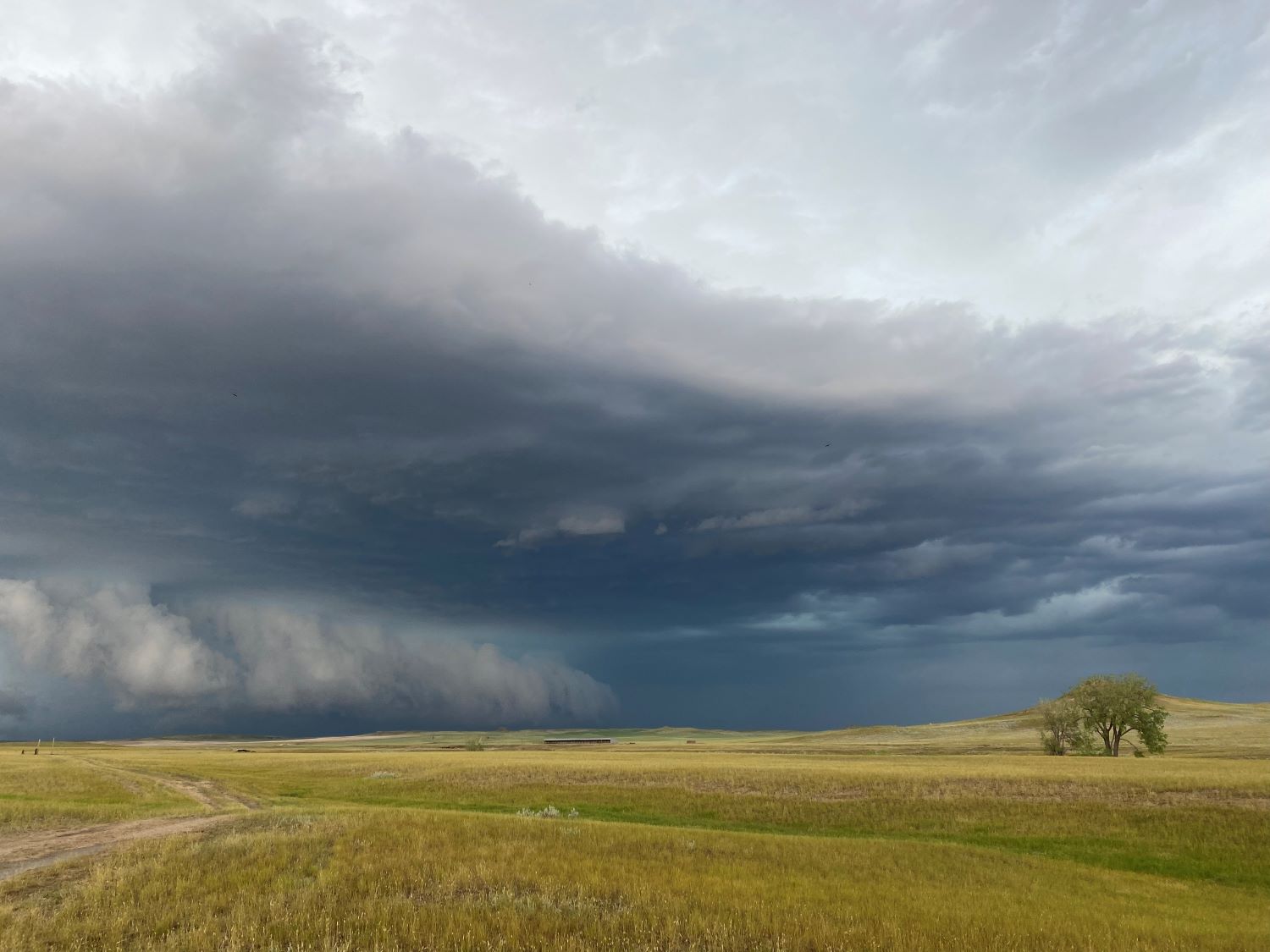 Storm