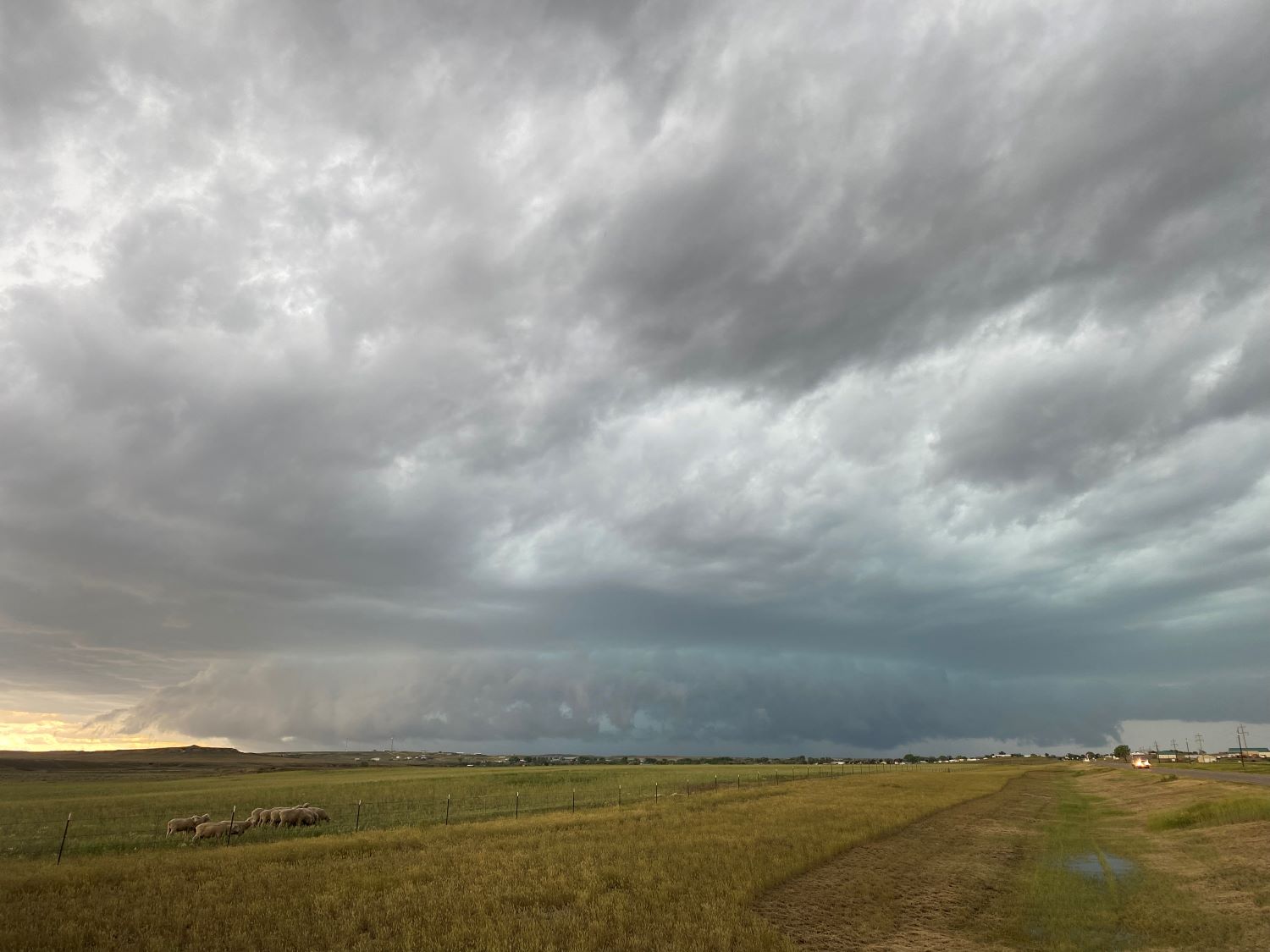 Storm