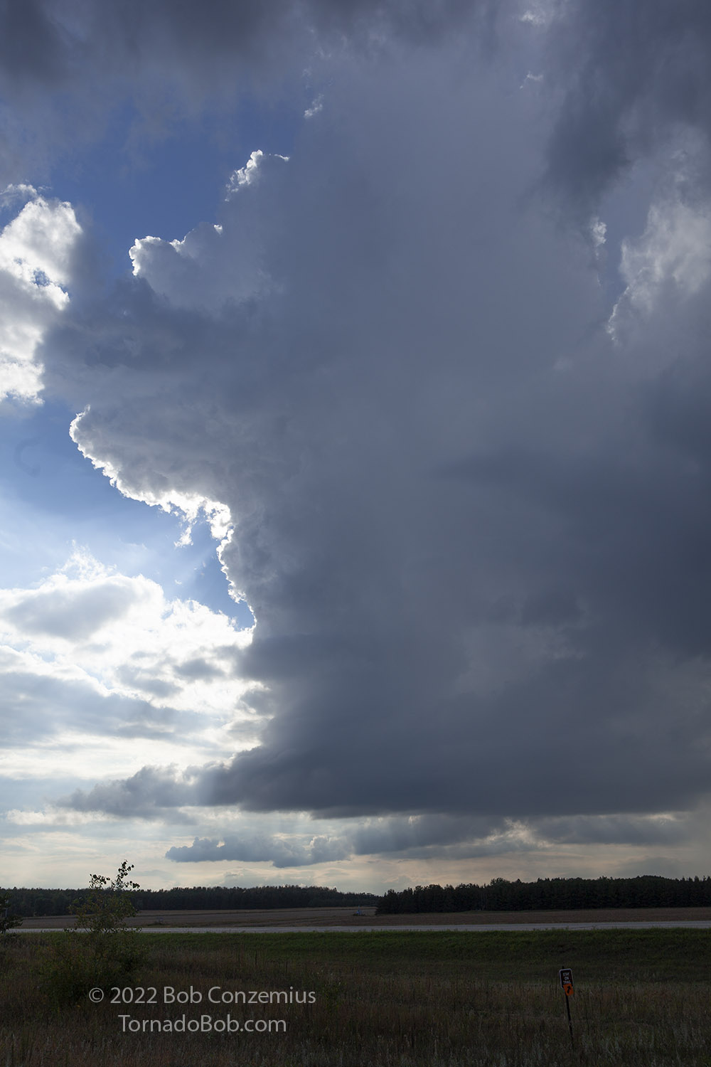 Storm