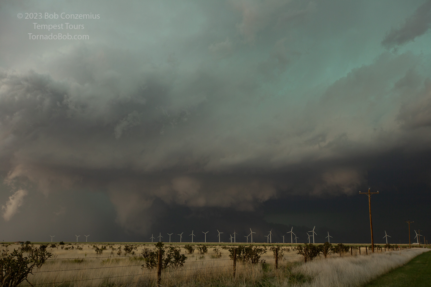 Storm